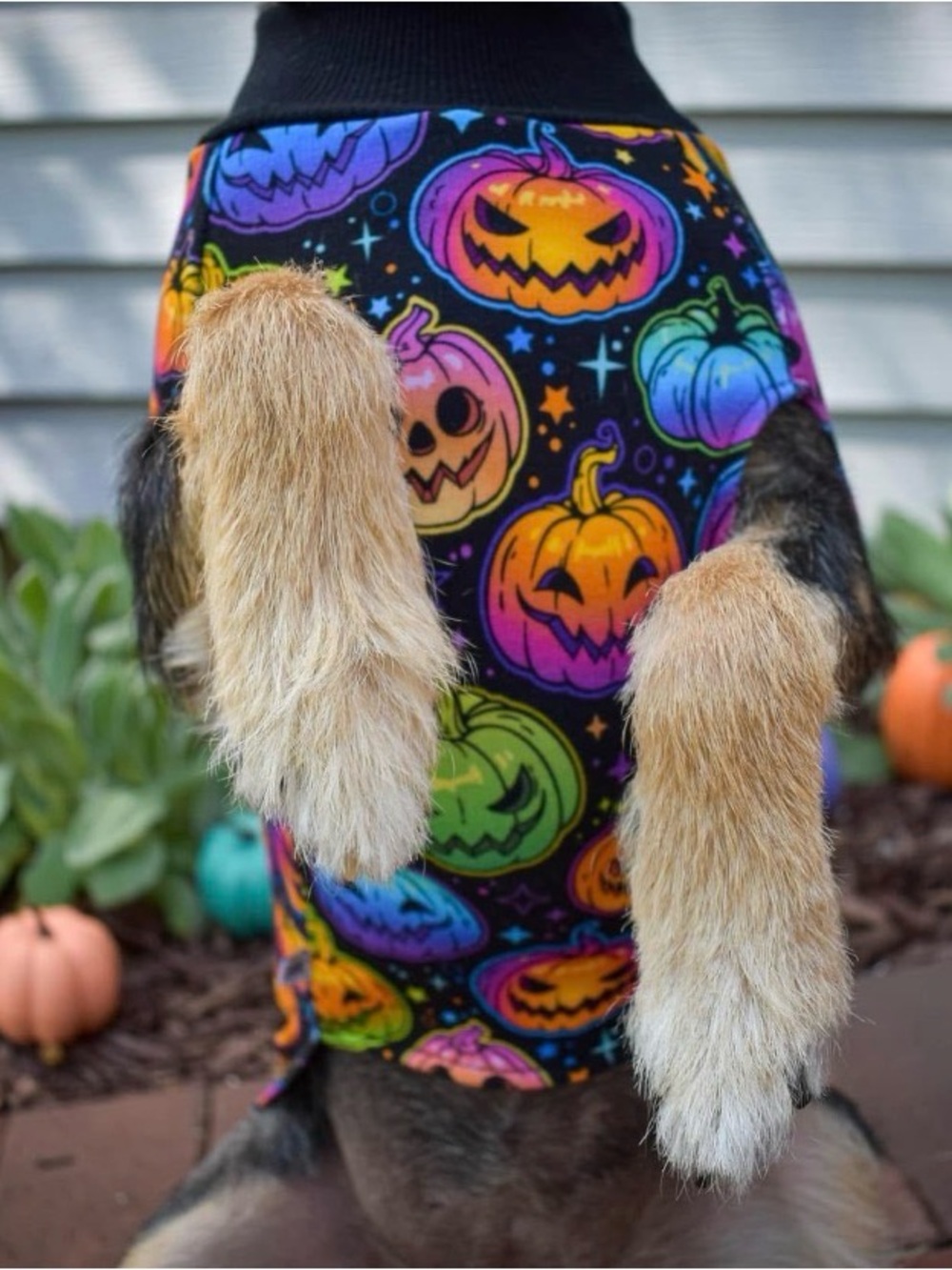 Bums and Roses Pumpkin Multicolor Dog Sweater, Glow Hard or Glow Home